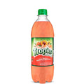 Tropics Drink